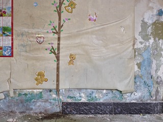 CF000290