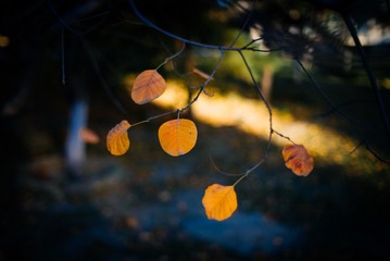 20141102-L1000412