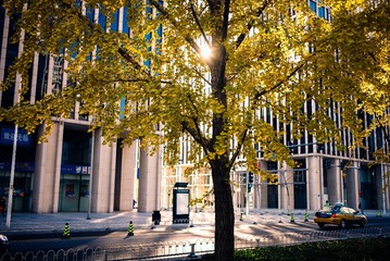 20141118-L1000771