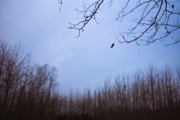 20141206-L1001050