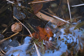 20141206-L1001048