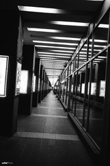 20150729-L1000353