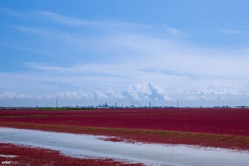 20150808-L1000518-f5