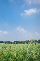 20150809-L1000578-d