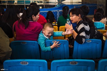 20160327-L1003702-dti