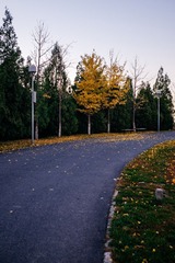20141102-L1000465