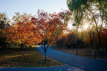 20141102-L1000427