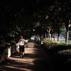 P8247604