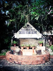 P8307812-2.jpg