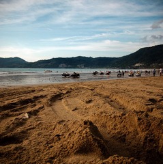 P8307903-2.jpg