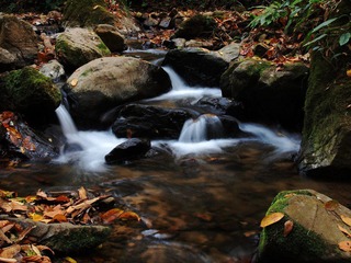 P4020139.jpg
