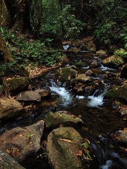 P4020151.jpg