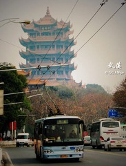 61c95d11gd5fe1754cc04&690-1