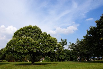 4150231