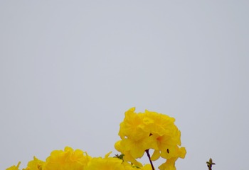 6771789