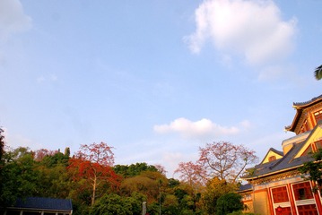 5253071