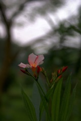 5364598