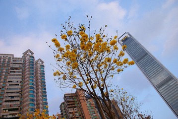 5190354