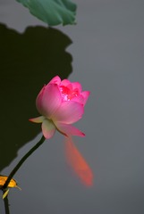 5637025