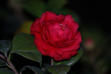 5059506