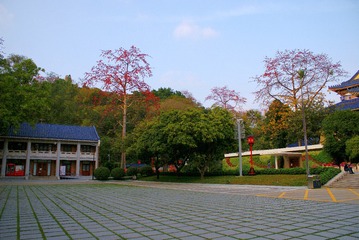 5253049