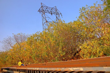 5310089