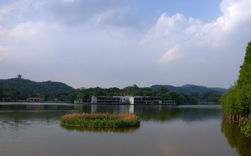 5496582