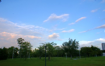 6165289