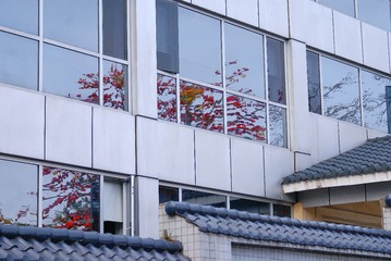 5346141