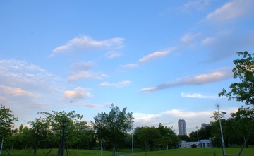 6165288