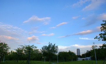 6165290