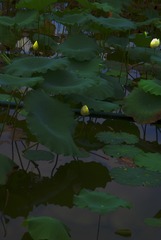5697838