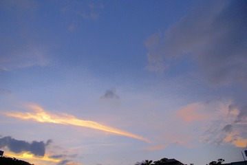 3987806
