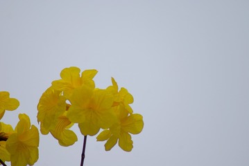 6771761