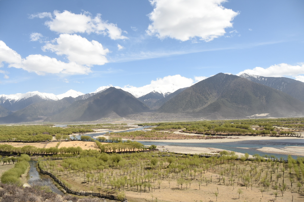 林芝的春天尼洋河湿地公园