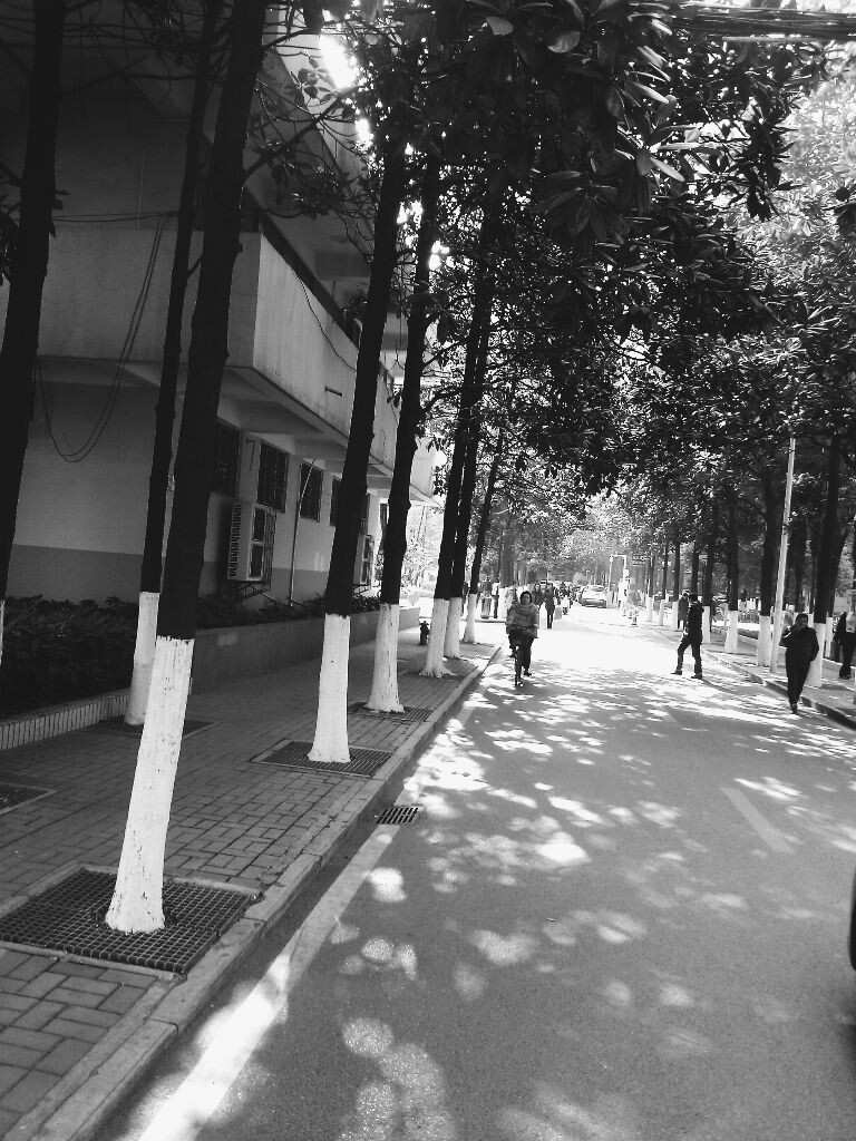 同济小路