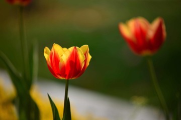 001