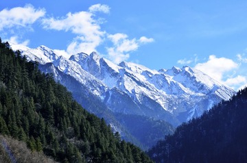 _DSC4655