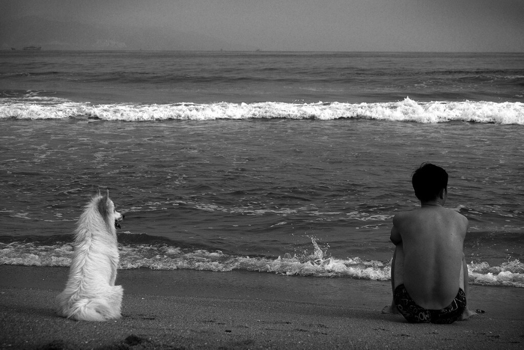 金沙湾海边,一位男人和一条狗在安静的看海,画面很有趣,感觉信息量也很大......