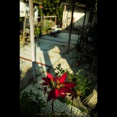 R0020839