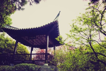 植物园-55