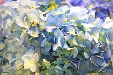 DSC04379_edit
