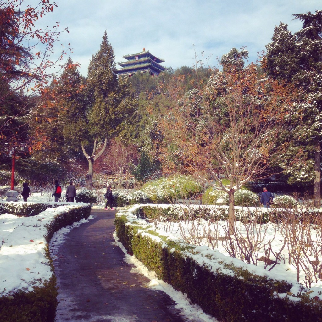 在白雪的衬托下，一条通往景山公园万春亭的小道