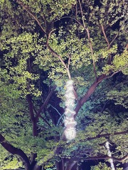 A4400338-F023-4C94-92E6-84D140B59E88/L0/001