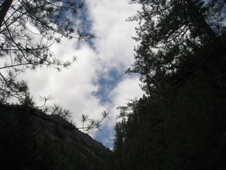 心的天空
