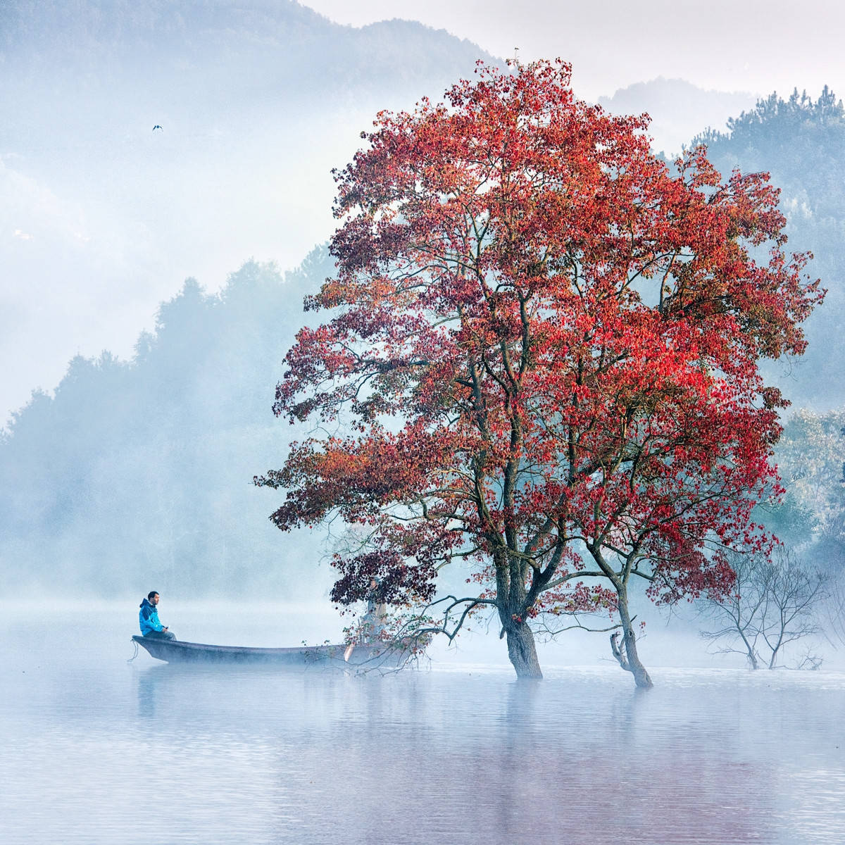 【 动若清风,静如秋水… 】