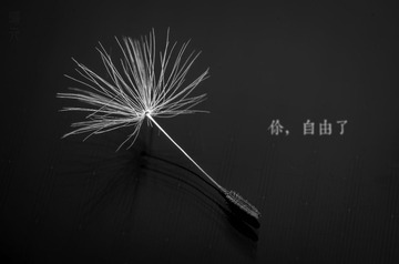 终z