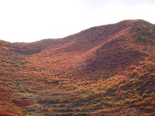 马鞍山照片 028