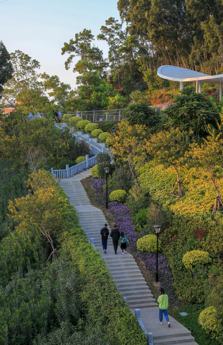 《厦门山海栈道》 网红打卡点