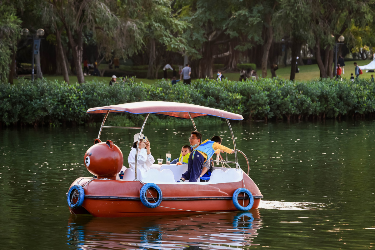 公园里的踏板船